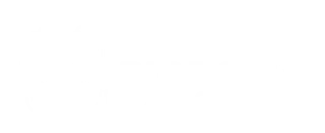 Riobotix